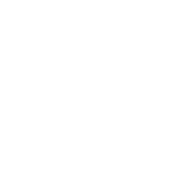 slr camera xxl